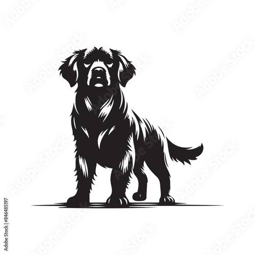 illustration of a dog