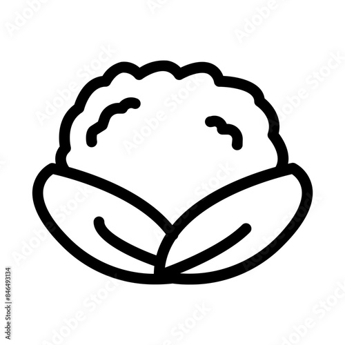 cauliflower icon