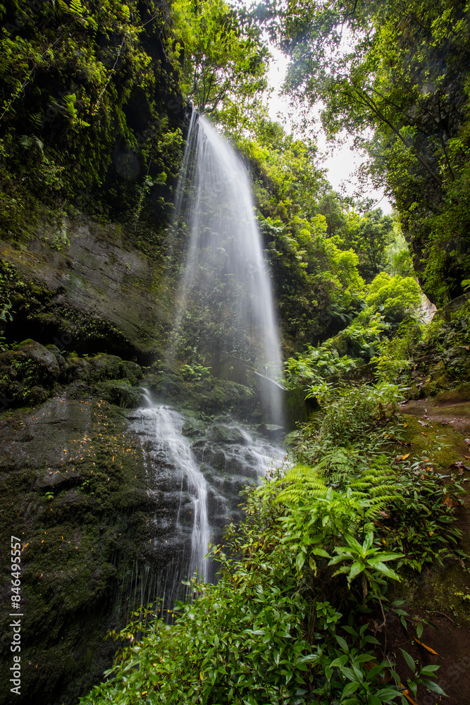 Fototapeta premium Scene of Tilos waterfall in La Palma Island, Canary Islands.