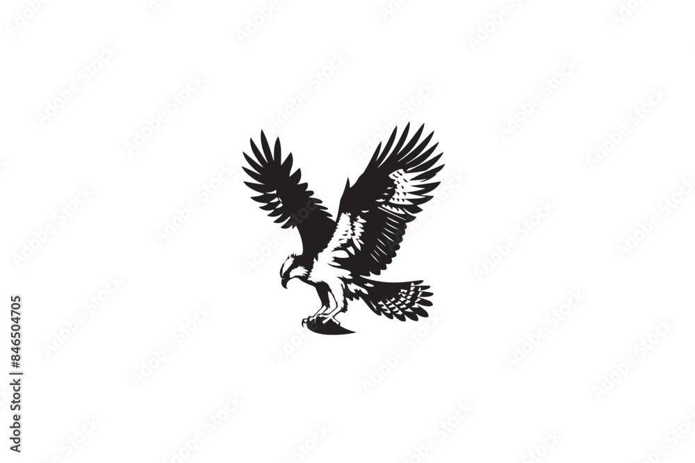 Obraz premium Peregrine Falcon silhouette vector style with white background11
