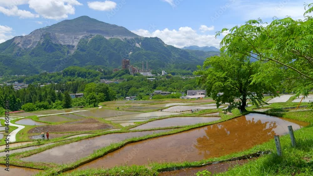 Incredible panorama over terraced rice fields with mountain in distance Incredible panorama over terraced rice fields with mountain in distance