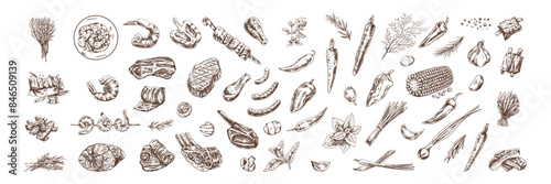 Set of hand-drawn sketches of barbecue and picnic elements, meat. For the design of the menu of restaurants and cafes, grilled food. Doodle vintage illustration. Engraved image.