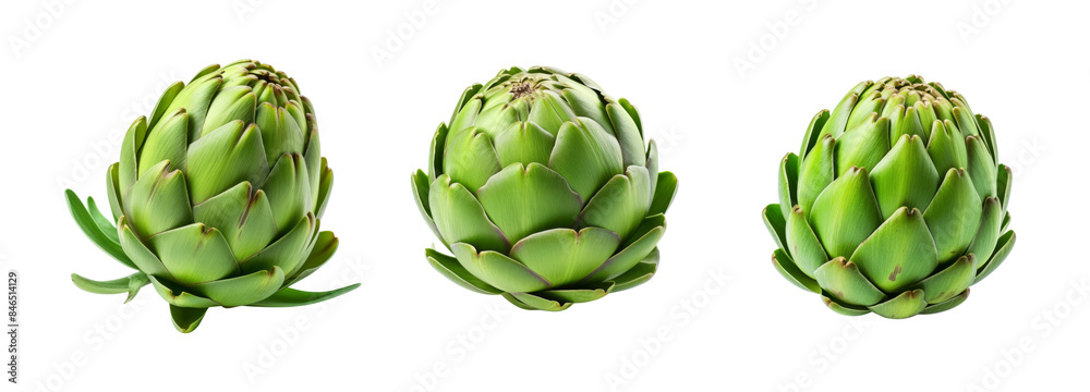 Fresh Artichokes Whole, Isolate on Transparent Background Fresh Artichokes Whole, Isolate on Transparent Background