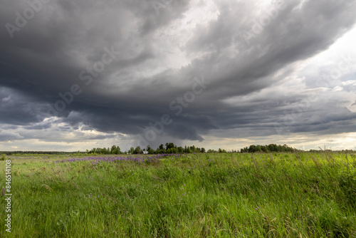 Billede på lærred A wide, open meadow with lush green grass and purple wildflowers stretches out beneath a dramatic sky, filled with dark, heavy clouds
