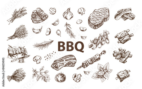 Set of hand-drawn sketches of barbecue elements. For the design of the menu of restaurants and cafes, grilled food. Doodle vintage illustration. Engraved image.