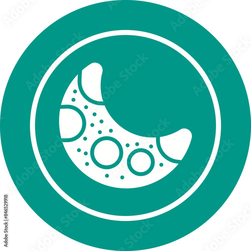 Moon Vector Icon