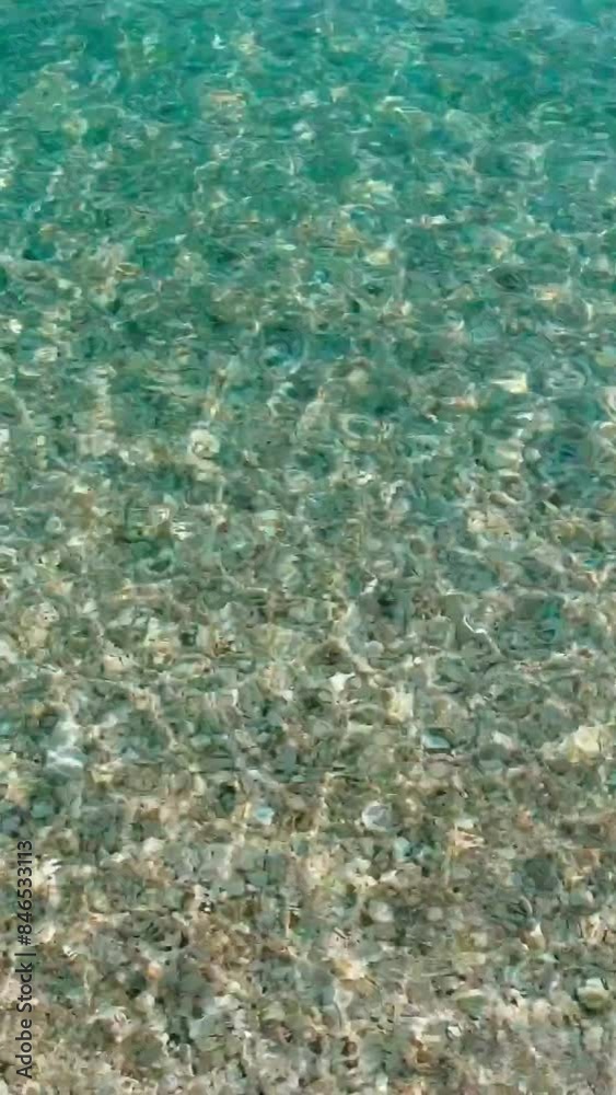 Crystal clear turquoise water and picturesque views on the beach in Croatia. Vertical Video Crystal clear turquoise water and picturesque views on the beach in Croatia. Vertical Video