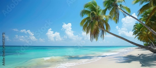 Sail Away to the Caribbean for a Tropical Beach Holiday amid Palm Trees © Lasvu