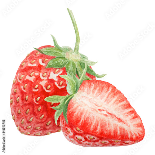 Red strawberry half, slice hand drawn watercolor illustration. Delicious food art, fresh botanical realistic painting. Summer berry clipart for cafe menu, packaging of farm goods, vegan products