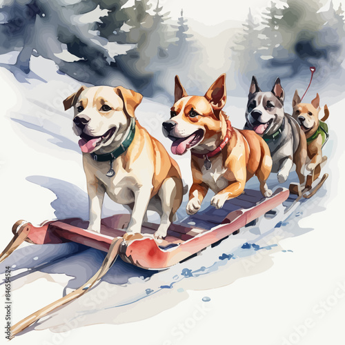 Dogs pulling a sleigh Ilustration Design Very Cool