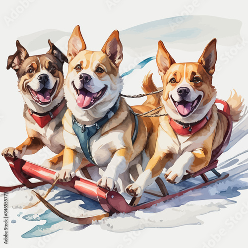 Dogs pulling a sleigh Ilustration Design Very Cool
