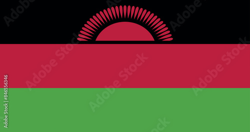 Illustration of the national flag of Malawi