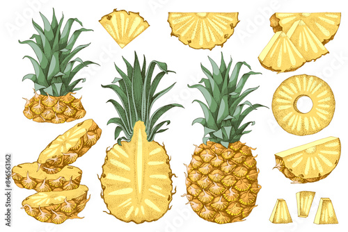 Set of hand drawn pineapples