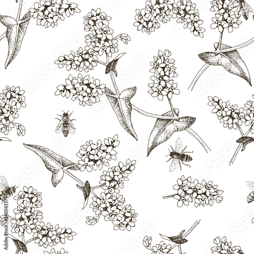 Seamless pattern with honeybees pollinating blooming buckwheat plants