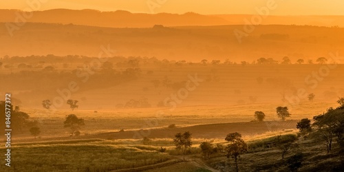 Stunning golden sunrise over a foggy countryside landscape in Brotas, Brazil, State of Sao Paulo photo