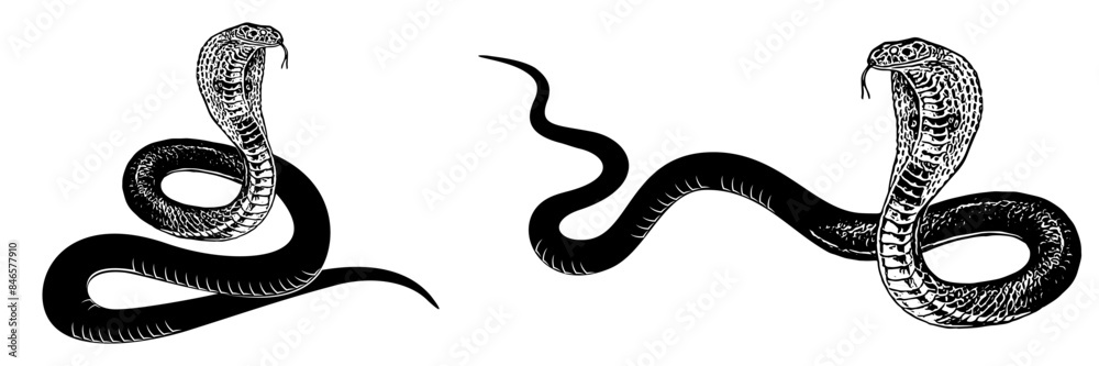 Fototapeta premium cobra silhouette vector