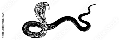 cobra silhouette vector