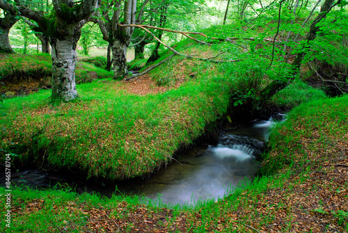 Bayas or Baia River in the Gorbeia or Gorbea Natural Park. photo