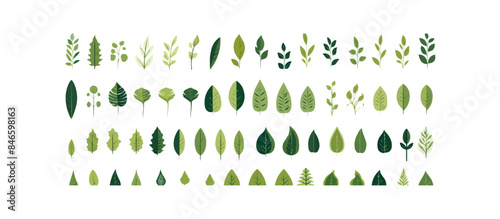 Green leaves big vector collection - Set of graphical elements with various leaf designs in different shapes and sizes. Flat design with white