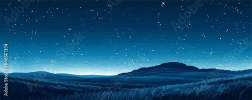 A starry night sky above a tranquil meadow. Vector flat minimalistic isolated illustration