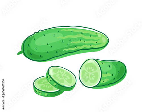 Fresh green cucumber. Whole and cut into pieces. Picture in line style. Dark outline with colored spots. Isolated on white background. Vector flat illustration.