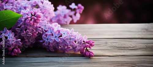 A lovely lilac blossom set ...