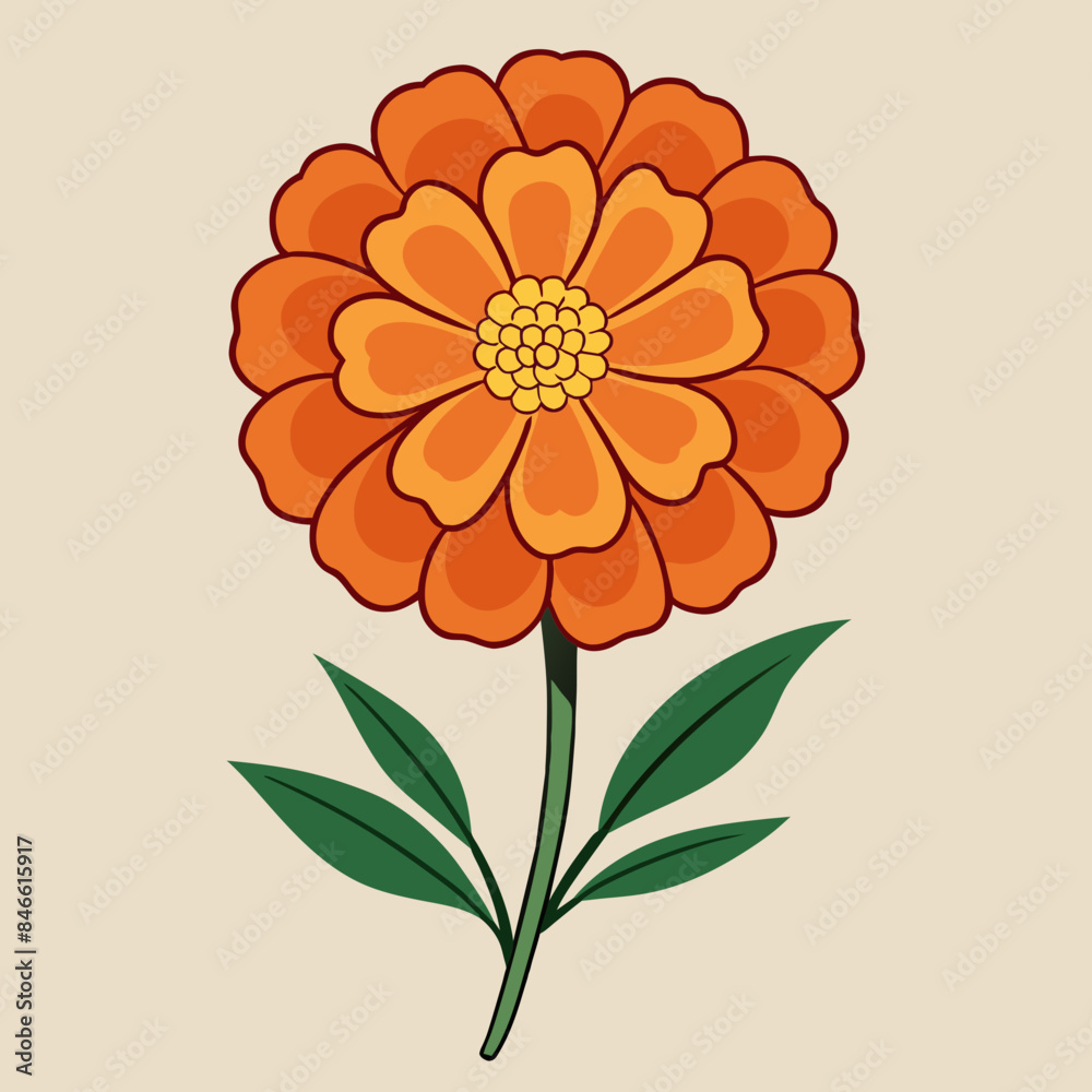 Marigold Wildflower vector illustration Marigold Wildflower vector illustration