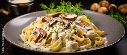 Traditional Italian cuisine with homemade fettuccine pasta (Fettuccine al Funghi Porcini) served in a creamy mushroom sauce, allowing for a copy space image.