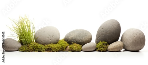 Large stones on grass in a ...