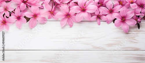 Pink flowers on a white woo...
