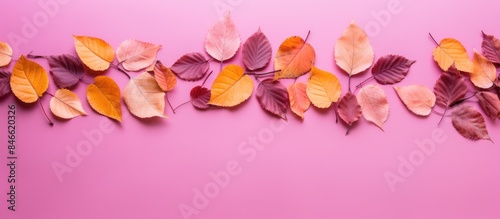 An array of colorful fall f...