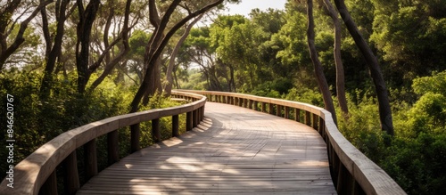 Wooden ecotourism trail pro...