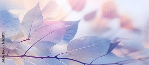 Soft-focused pastel image f...