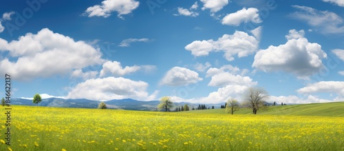 Scenic meadow with lush gra...