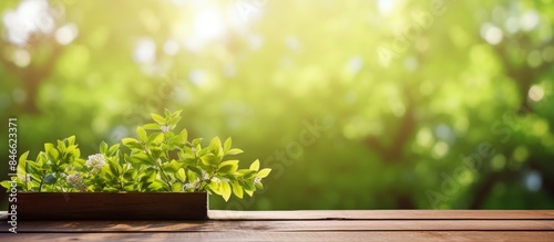 Nature outdoor scene with f...