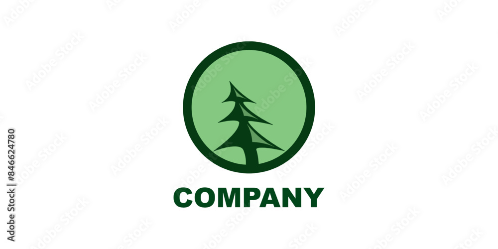 Fototapeta premium Evergreen Spruce Tree Logo Design
