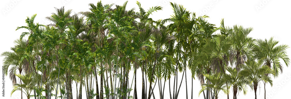 palm treeline trees hq arch viz cutout plants palm treeline trees hq arch viz cutout plants