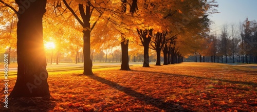 Vivid autumn scenery with s...