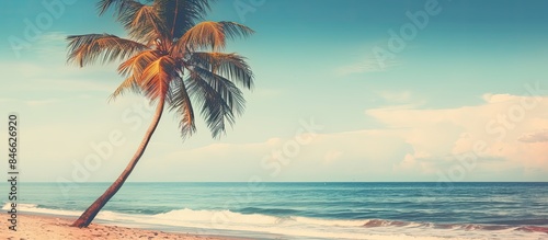 Fototapeta Naklejka Na Ścianę i Meble -  Tropical beach scene with a coconut tree and a retro filter providing a vintage look, perfect as a background for a copy space image.