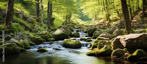 Beautiful spring stream flo...