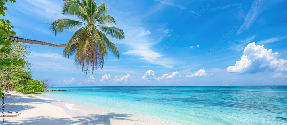 Ideal Tropical Beach Scene for Background or Wallpaper with Tourism Design for Summer Vacation Concept Ideal Tropical Beach Scene for Background or Wallpaper with Tourism Design for Summer Vacation Concept