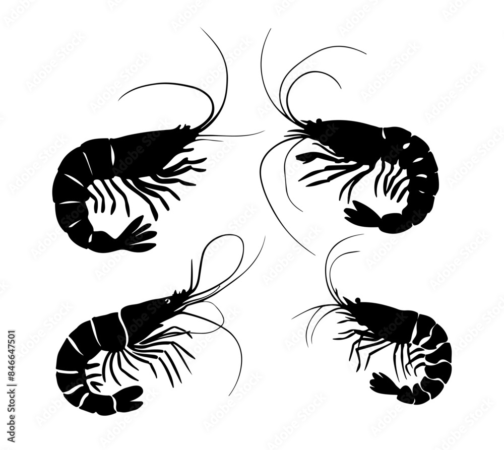 Fototapeta premium silhouette of shrimp isolated on white background, shrimp vector set
