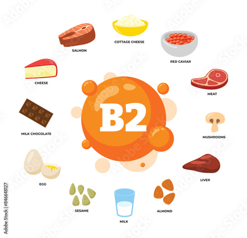 Set of vitamin B2 source dietetic organic nutrition products, Organic nutrition, food containing cottage cheese, caviar, meat, mushroom, liver, almond, milk, sesame, egg, chocolate,salmon.