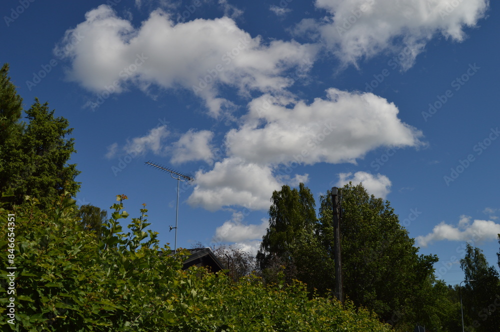 Blue Sky with trees Blue Sky with trees