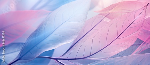 Soft-focused pastel image f...