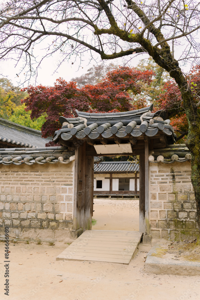 a traditional Korean Hanok in Biwon , Secret Garden - Changdeokgung, Seoul. The scene is set in autumn, with vibrant foliage surrounding a stone wall and a wooden gate leading to the Hanok. a traditional Korean Hanok in Biwon , Secret Garden - Changdeokgung, Seoul. The scene is set in autumn, with vibrant foliage surrounding a stone wall and a wooden gate leading to the Hanok.