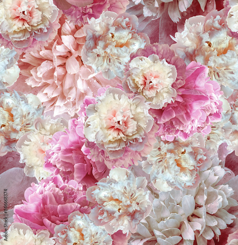 Fototapeta Naklejka Na Ścianę i Meble -  Seamless floral  background. Flowers peonies and petals peonies. Close up.