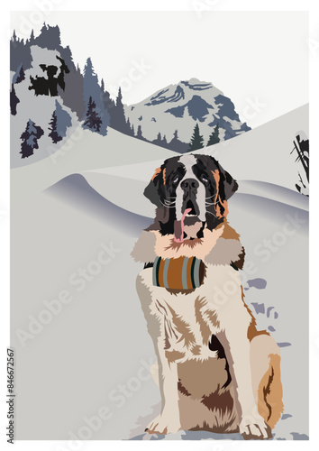 bernese mountain dog in winter
