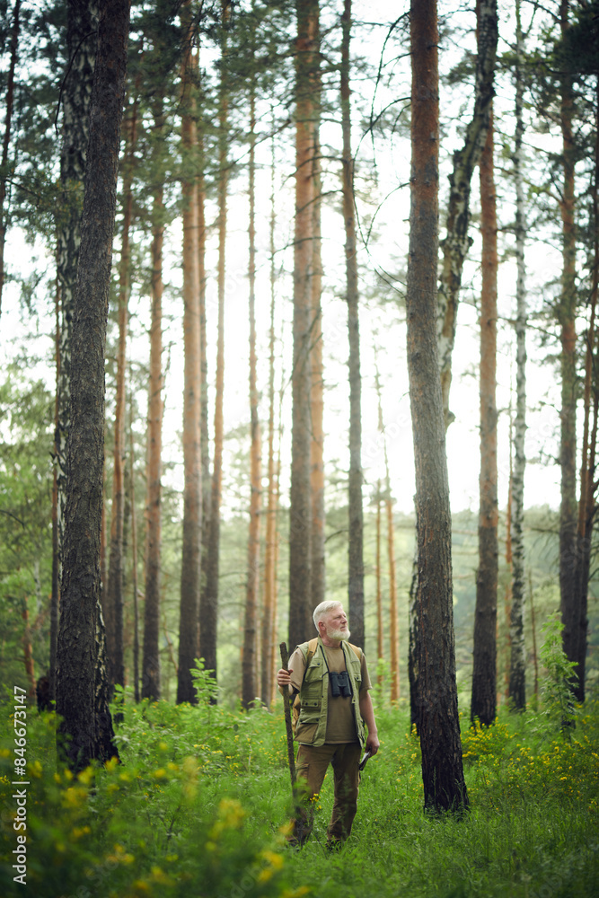 Obraz premium Vertical extreme long shot of senior Caucasian ranger standing with wooden stick and looking away in mountain forest on summer day