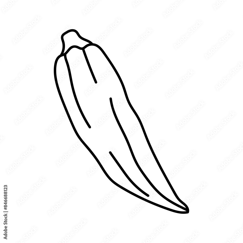Okra in doodle style. Vector isolated on white background Okra in doodle style. Vector isolated on white background